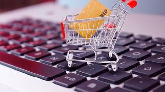 互聯網賦能生鮮農產品銷售 網富控股的創新路徑