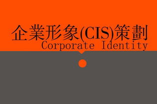 廣告、營(yíng)銷(xiāo)、品牌與企業(yè)策劃 戰(zhàn)略協(xié)同下的廣告設(shè)計(jì)核心