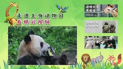 解鎖六一特別陪伴模式 中國互聯網電視帶您云游上海動物園，探秘動物飼養