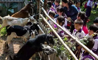 番禺喜出望外生態樂園 超值野炊套餐，全家共享秋日田園之樂